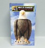 Bald Eagle Character lidded stein - Box View