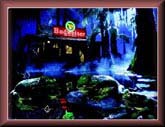 BUD FROGS #1 CEL