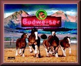 CLYDESDALES FOOTBALL CEL